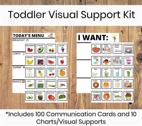 Toddler Preschool Visual Support Kit 100 Vocabulary Cards Charts