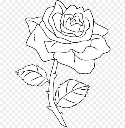 Print or download free flower coloring pages for your kids and let them enjoy the art of coloring, best to their imagination. Aesthetic Flower Outline Png - Largest Wallpaper Portal