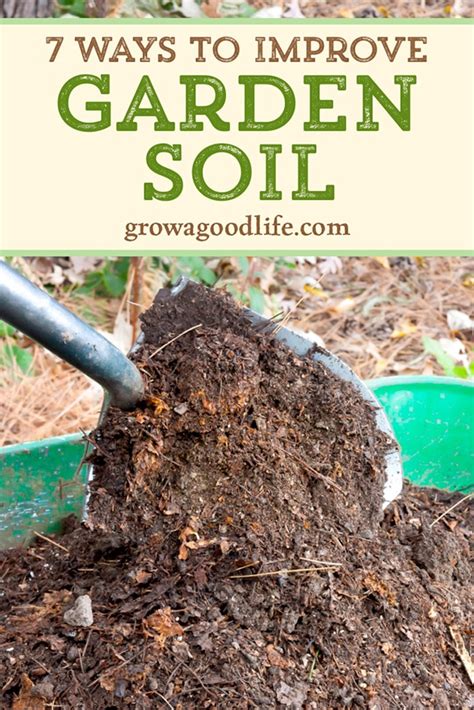 How To Improve Your Soil For Gardening