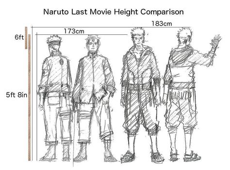 Naruto Characters Height Comparison Narucrot