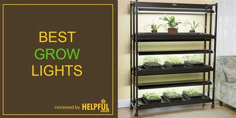 10 Best Indoor Grow Lights For Plants Give Your Plants The Lighting