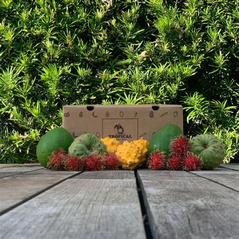 Tropical Fruit Box Fresh Tropical Fruit Touch Of Modern