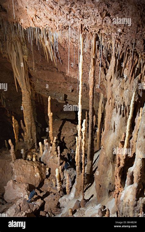 Stalactites And Stalagmites In Natural Bridge Caverns Texas Usa Stock