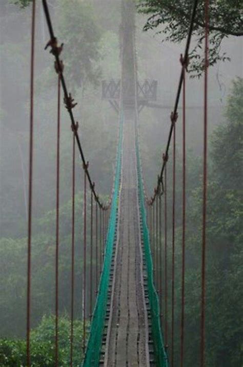 Stunning Canopy Bridge Borneo Borneo Places To See Incredible Places