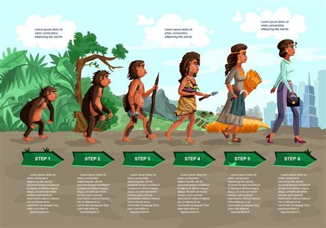 Human Female Evolution Cartoon Vector Concept Stock Vector Illustration Of Anthropology Girl