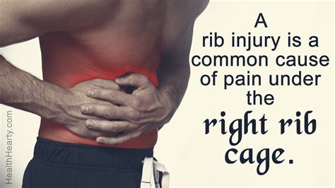 Pain Under Right Rib Cage Health Hearty