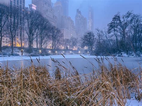 Central Park New York City Snow Storm Stock Image Image Of Frost