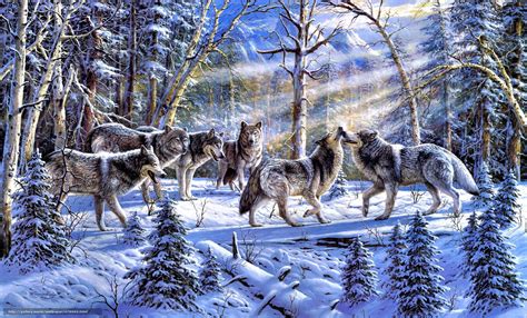 34 Winter Wolves Wallpaper Free