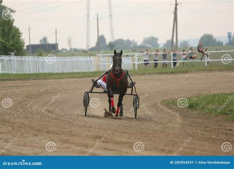 Horses And Riders Running At Horse Races Editorial Photo Image Of
