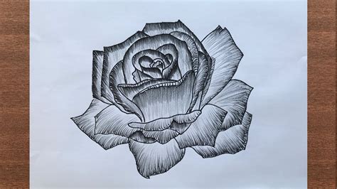 How To Draw A Rose Flower Using Pen Youtube