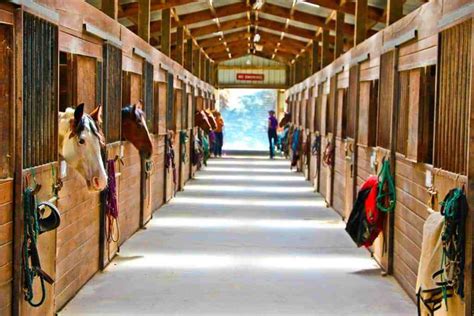 Selecting A Horse Boarding Barn The Horse