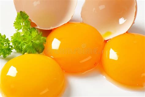 Raw Egg Yolks Stock Photo Image Of Food Studio Uncooked 63551922
