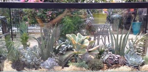 How To Turn Old Fish Tanks Into Amazing Planters And Terrariums Basteln