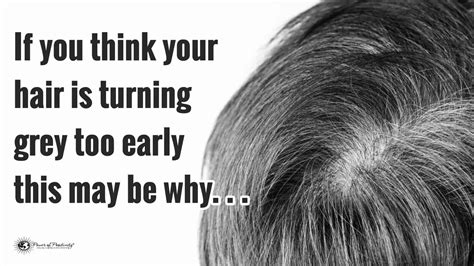 4 Reasons Your Hair Is Turning Grey Early Grey Hair Early Age