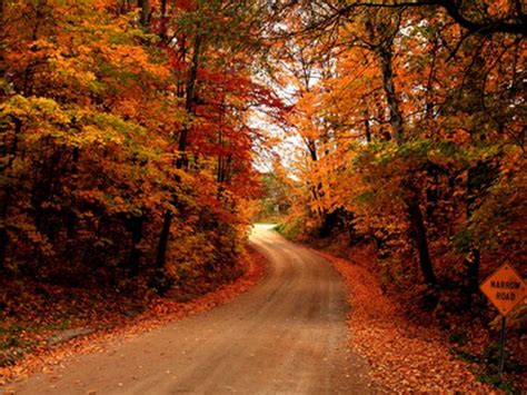 21 Spectacular Autumn Vistas Fall Pictures Fall Pictures Nature