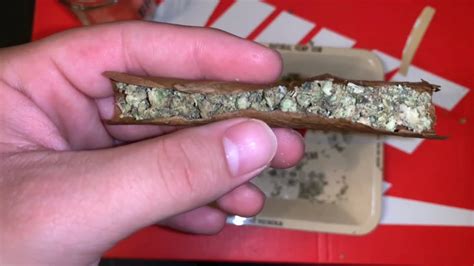 How To Roll A Blunt For Beginners Youtube