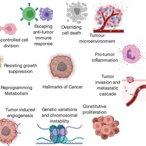 The Hallmarks Of Cancer Outlining A Synopsis Of Oncogenesis Applicable