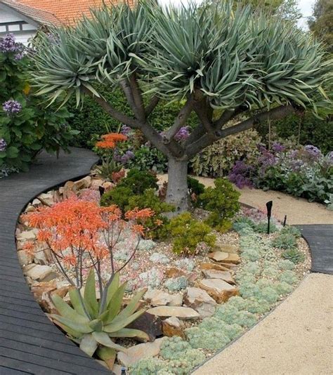 You can control cactus pests using a variety of diy techniques. Incredible Cactus Garden Landscaping Ideas Best For Summer ...