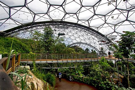 Photo Canopy Walkway In Rainforest Biome At Eden Project In Cornwall