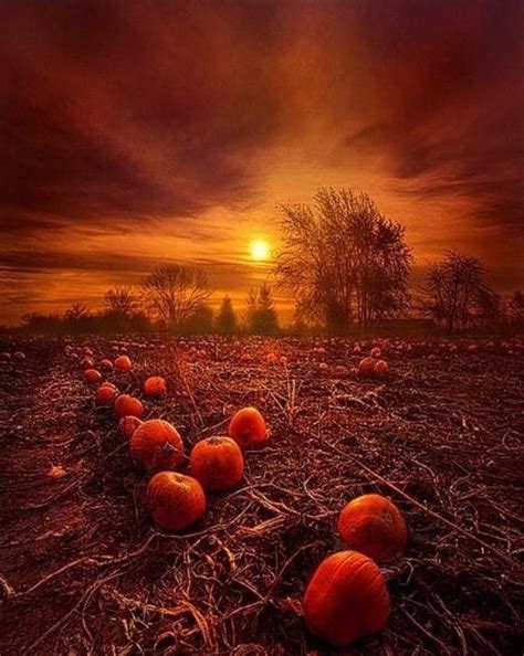 Pin By Bill Houser On Happy Halloween Autumn Scenery Autumn Scenes