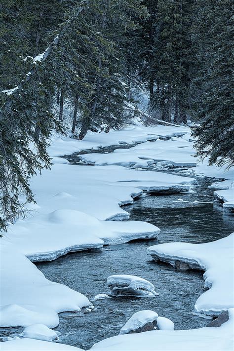 Snowy Stream Photograph By Bud Bartnik