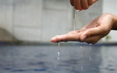 Water Dripping From Hands Stock Photography Image