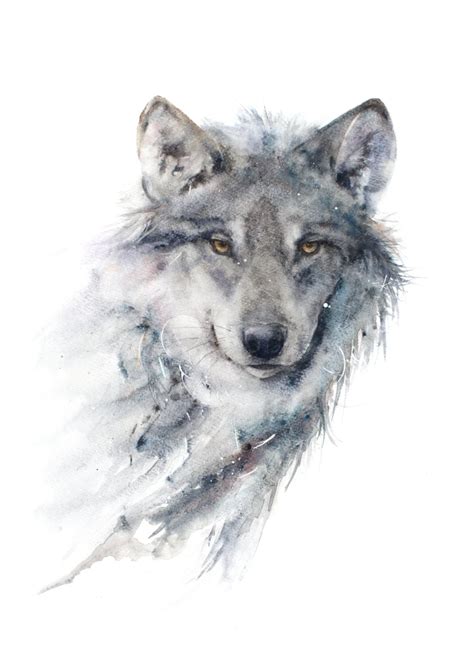 A Watercolour Giclee Print Of A Grey Wolf By Jane Davies Etsy