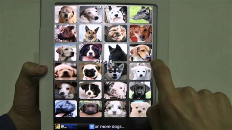 Dog And Puppy Sounds App Is A Free Funny And Cool Dogs App Youtube