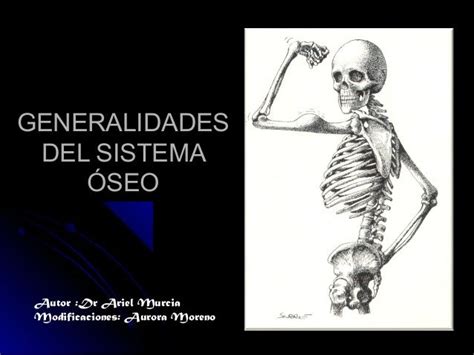 Generalidades De Osteología Sistema Oseo Oseo Autor