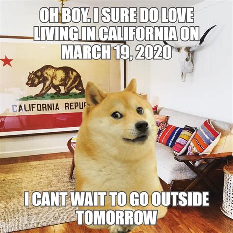 1080 X 1080 Doge 200 Luxury Doge 1080x1080 For You Left
