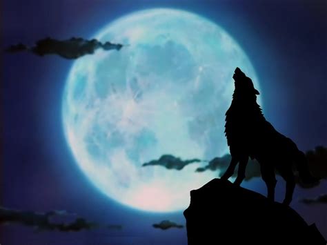 Wolves Howling Wallpaper 68 Images