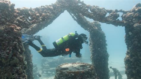 Underwater Cemetery Brings New Life To Floridas Reef World The Times