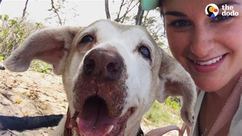 Dog Who Spent 7 Years In The Shelter Is So Happy To Have A