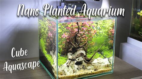 Nano Planted Aquarium Cube Aquascape Youtube