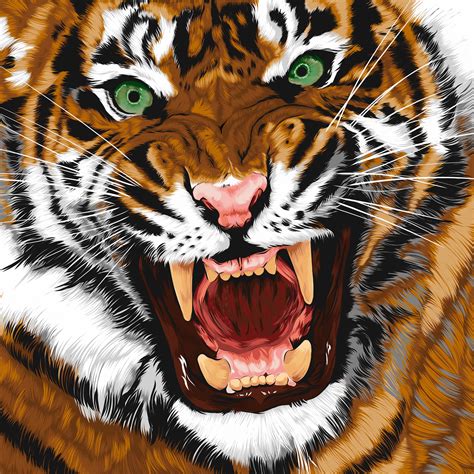 Tiger Illustration On Behance