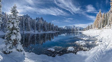 Hd Wallpaper Winter Landscape Lake Reflection Pine Forest Trees With