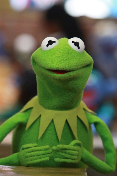 Kermit The Frog Tells Who Are The Big Cameos In Muppets Most Wanted