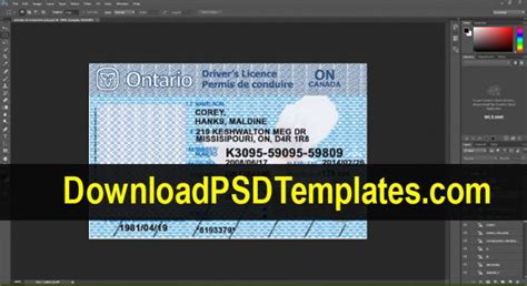 Fake Driving License Templates Psd Files Psd Templates Driving