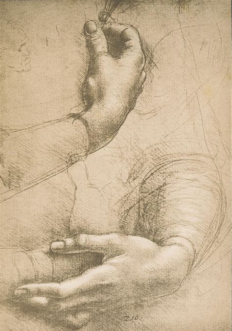 Study Of Female Hands Drawing By Leonardo Da Vinci Fine Art America