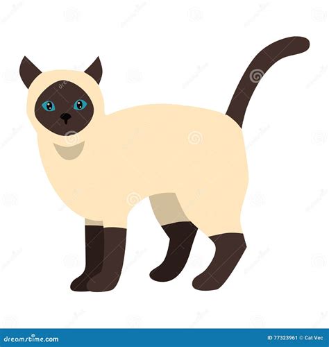 Cartoon Vector Siamese Cat Character Stock Vector Illustration Of