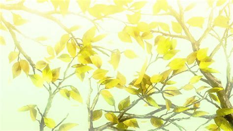 Yellow Aesthetics🌟 Anime Amino