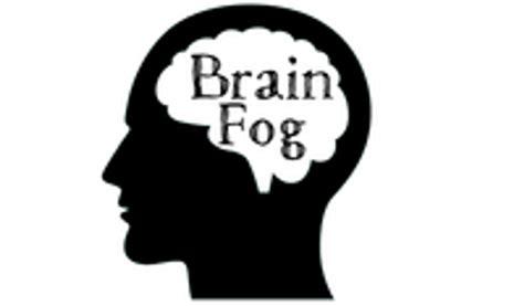 Clearing Brain Fog With Supplements Noahs Natural Foods