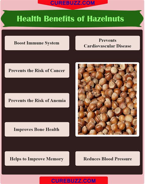 10 Health Benefits Of Hazelnuts CUREBUZZ