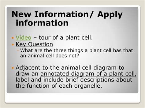 Ppt Lesson 2 Cells Structure And Organelle Function Powerpoint