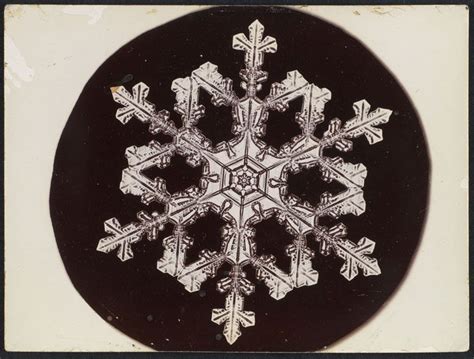 In 1885 Wilson Bentley Took The First Ever Photographs Of Snowflakes