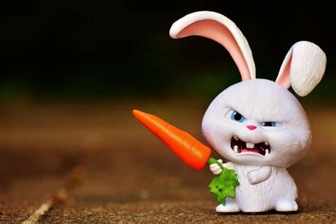 Rabbit Holding Carrot Illustration Hare Evil Snowball Secret Life