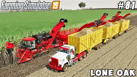 Harvesting Sugar Cane Buying Harvesters And Trailers Lone Oak Farm