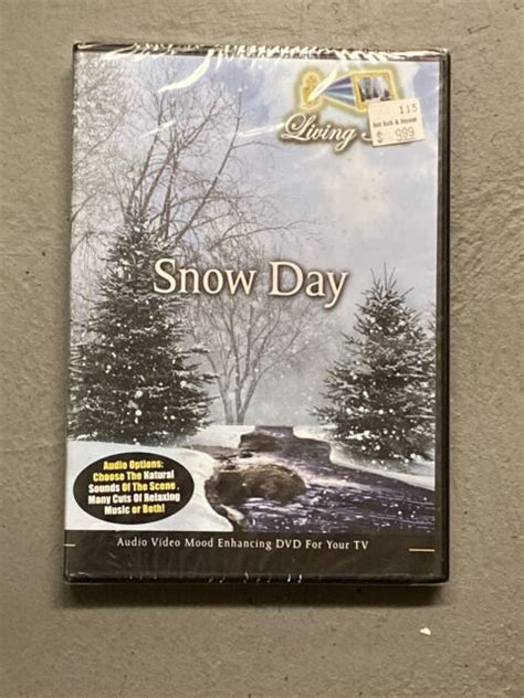 Snow Day Dvd New Sealed Mood Enhancing Dvd For Your Tv Looped