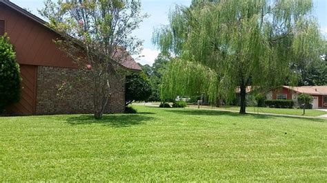Transitional Landscape In Lynn Haven Mowed Lawn Weeping