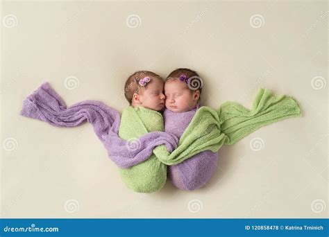Fraternal Twin Newborn Girls In Swaddles Stock Photo Image Of T